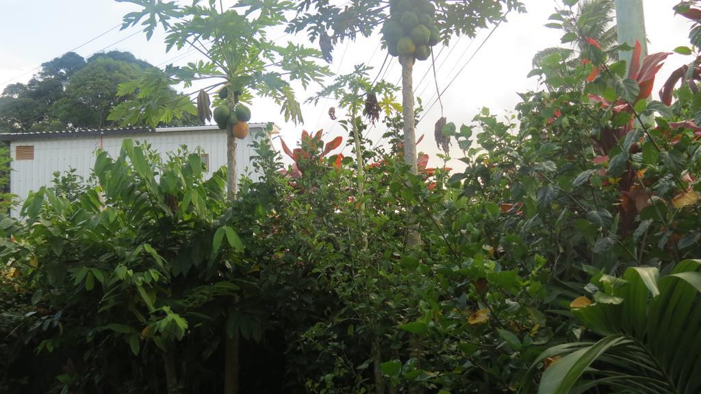 Dayspring Lodge Nuku'alofa Exterior foto