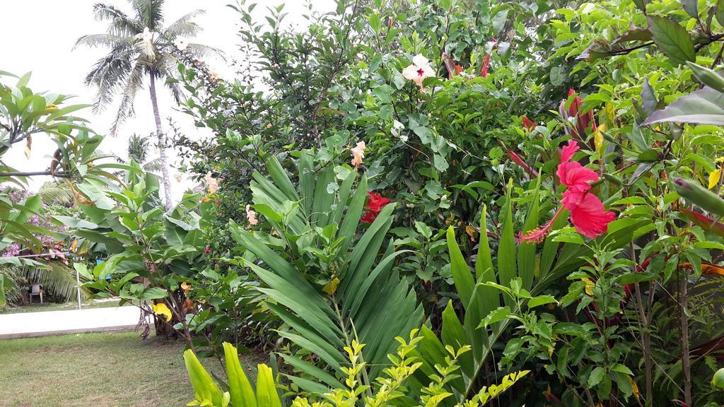 Dayspring Lodge Nuku'alofa Exterior foto